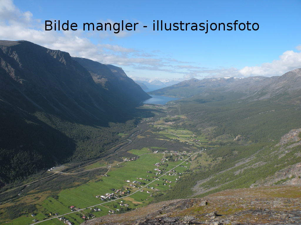 Bilde mangler - illustrasjonsfoto